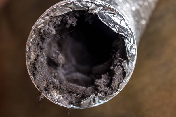 Best Professional Duct Cleaning Services  in Roy, UT